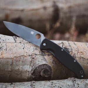 Spyderco Resilience Folding Pocket Knife with 4.20" 8Cr13MoV Stainless Blade and G-10 Handle - PlainEdge - C142GP